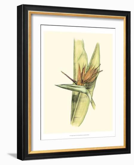 Elegant Tropics II-Jennifer Goldberger-Framed Art Print