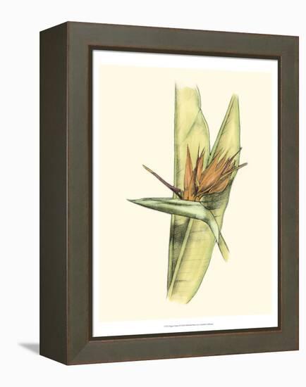 Elegant Tropics II-Jennifer Goldberger-Framed Stretched Canvas