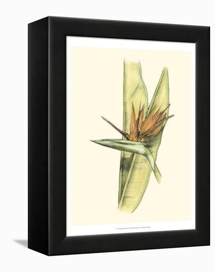 Elegant Tropics II-Jennifer Goldberger-Framed Stretched Canvas