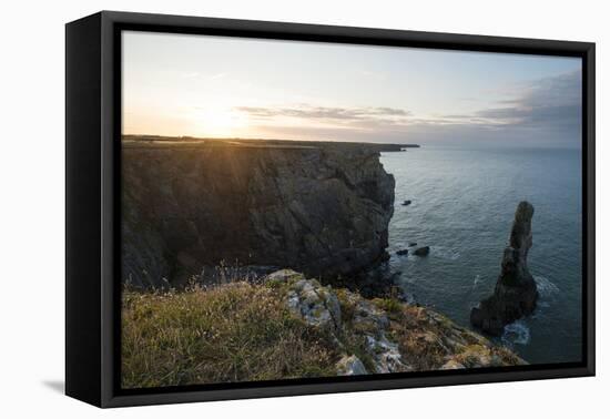 Elegug Stacks, Pembrokeshire Coast National Park, Wales, United Kingdom, Europe-Ben Pipe-Framed Premier Image Canvas