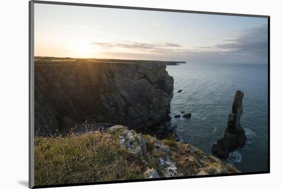 Elegug Stacks, Pembrokeshire Coast National Park, Wales, United Kingdom, Europe-Ben Pipe-Mounted Photographic Print