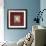 Elements I-Jennifer Strasenburgh-Framed Giclee Print displayed on a wall