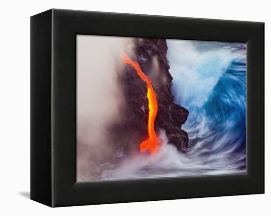 Elements of Nature-Andrew J. Lee-Framed Premier Image Canvas