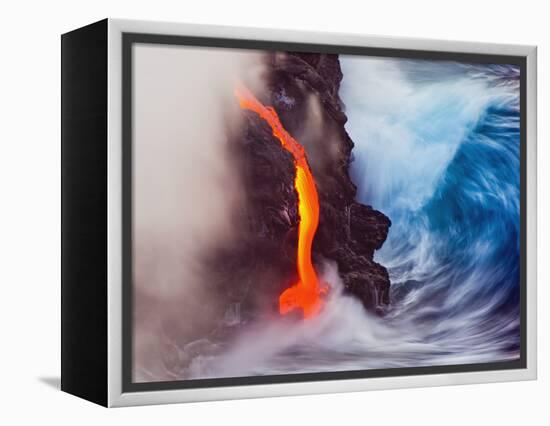 Elements of Nature-Andrew J. Lee-Framed Premier Image Canvas