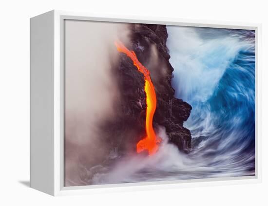 Elements of Nature-Andrew J. Lee-Framed Premier Image Canvas