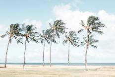 Hawaiian Palm Trees-Elena Chukhlebova-Photographic Print