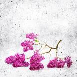 Blue Background with Lilac Flowers-Elena Larina-Art Print