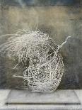 Gray Abstract III-Elena Ray-Art Print