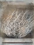 Gray Abstract III-Elena Ray-Art Print