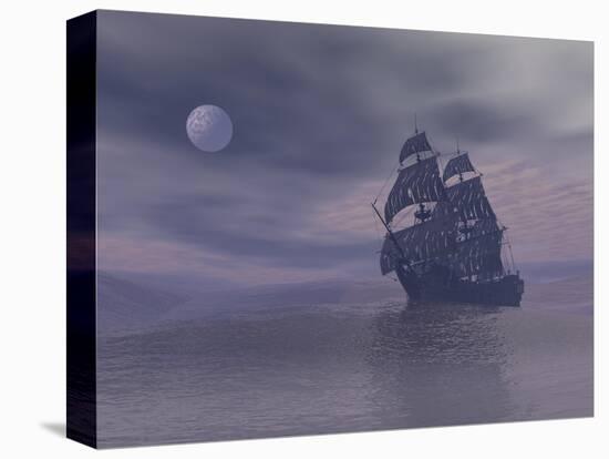 Stretched Canvas Print, , large
