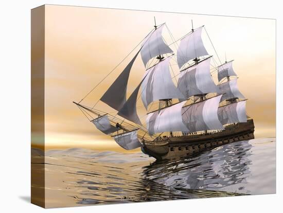 Stretched Canvas Print, , large