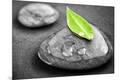 Premium Photographic Print