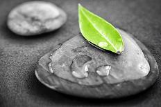 Black and White Zen Stones Submerged in Water with Color Accented Green Leaf-elenathewise-Framed Photographic Print