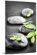 Premium Photographic Print