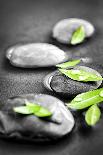 Black and White Zen Stones Submerged in Water with Color Accented Green Leaf-elenathewise-Photographic Print