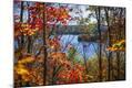 Photographic Print