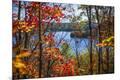Photographic Print