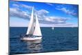 Photographic Print