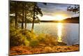 Photographic Print