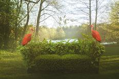 Green Sofa And Flamingos-Eleni Tzima-Mounted Photographic Print