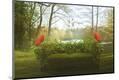 Photographic Print