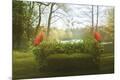 Photographic Print
