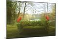 Photographic Print