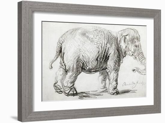 Elephant, 1637, Black Chalk Drawing-Rembrandt van Rijn-Framed Giclee Print