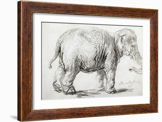 Elephant, 1637, Black Chalk Drawing-Rembrandt van Rijn-Framed Giclee Print