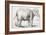 Elephant, 1637, Black Chalk Drawing-Rembrandt van Rijn-Framed Giclee Print