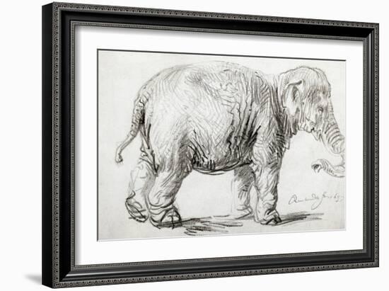 Elephant, 1637, Black Chalk Drawing-Rembrandt van Rijn-Framed Giclee Print