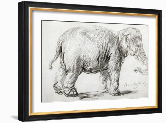 Elephant, 1637, Black Chalk Drawing-Rembrandt van Rijn-Framed Giclee Print
