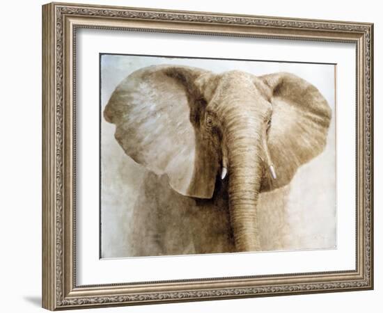Elephant, 2004-Lincoln Seligman-Framed Giclee Print