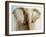 Elephant, 2004-Lincoln Seligman-Framed Giclee Print