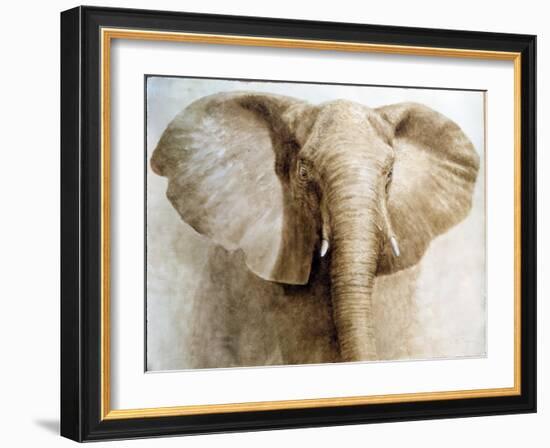 Elephant, 2004-Lincoln Seligman-Framed Giclee Print