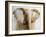 Elephant, 2004-Lincoln Seligman-Framed Giclee Print