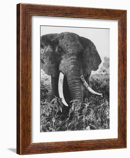 Elephant After Dirt Bath on the Plains-Eliot Elisofon-Framed Photographic Print