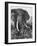 Elephant After Dirt Bath on the Plains-Eliot Elisofon-Framed Photographic Print