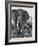 Elephant After Dirt Bath on the Plains-Eliot Elisofon-Framed Photographic Print