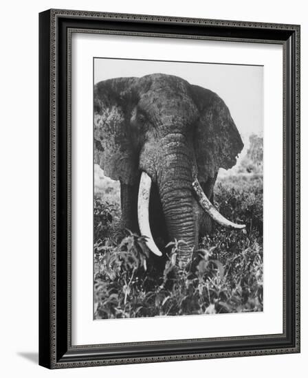 Elephant After Dirt Bath on the Plains-Eliot Elisofon-Framed Photographic Print