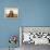 Elephant and a Mosque, from Thanjavur, India-null-Framed Premier Image Canvas displayed on a wall