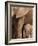 Elephant and Baby (Loxodonta Africana), Addo Elephant National Park, Eastern Cape, South Africa-Ann & Steve Toon-Framed Photographic Print