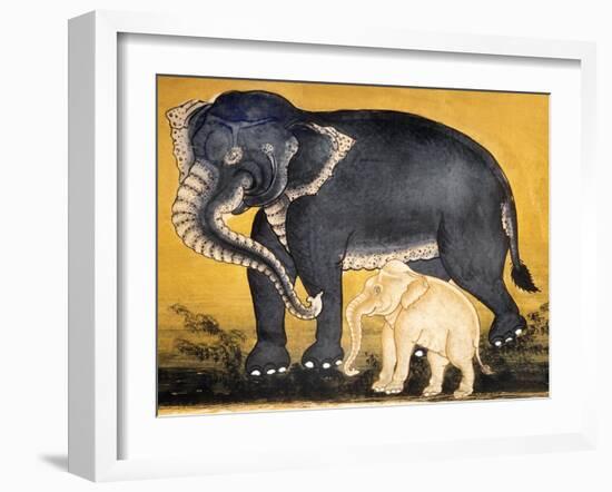 Elephant and Calf, Page from a Manuscript on Elephant Training-null-Framed Giclee Print