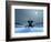 Elephant and Dog at Christmas Night-Mike_Kiev-Framed Photographic Print