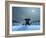 Elephant and Dog at Christmas Night-Mike_Kiev-Framed Photographic Print