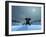 Elephant and Dog at Christmas Night-Mike_Kiev-Framed Photographic Print