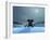 Elephant and Dog at Christmas Night-Mike_Kiev-Framed Photographic Print