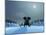 Elephant and Dog at Christmas Night-Mike_Kiev-Mounted Photographic Print