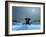 Elephant and Dog at Christmas Night-Mike_Kiev-Framed Photographic Print