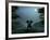 Elephant and Dog Meditate at Summer Night-Mike_Kiev-Framed Photographic Print